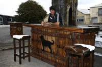 cowhide barstools