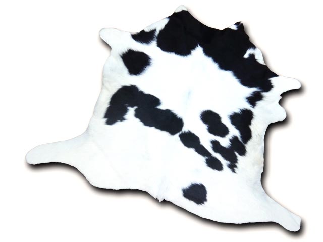 Calf2218