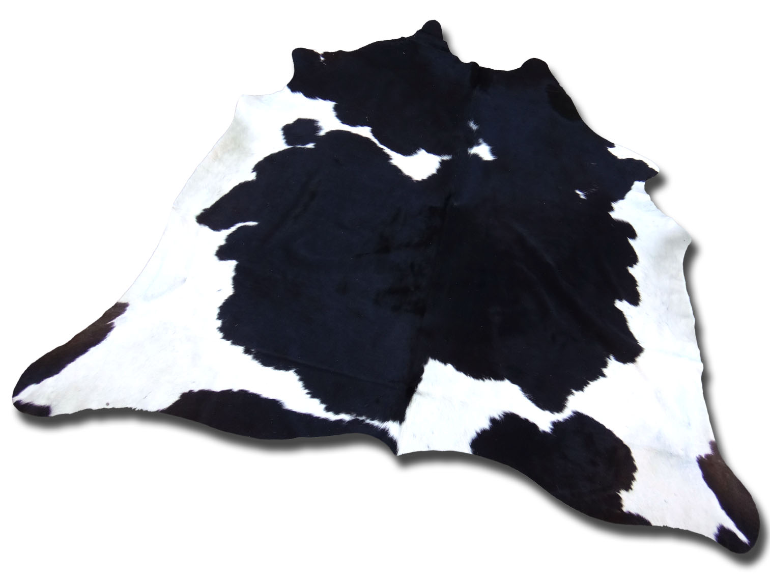 A702 The Cowhide Company