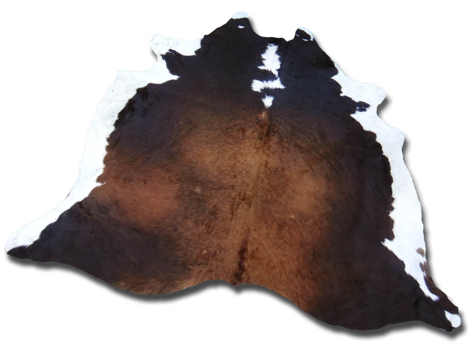 Choco + Tan Cowhides The Cowhide Company