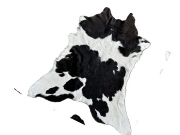 Calf2119