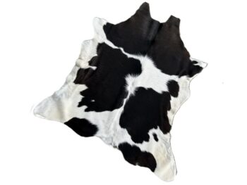 Calf2129