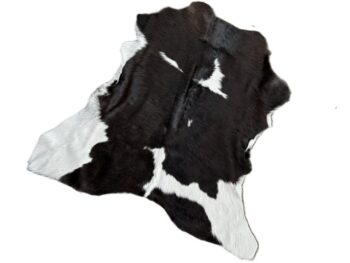Calf2139