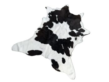Calf2149