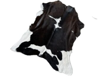 Calf2159