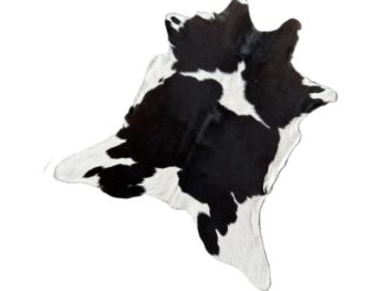 Calf2169
