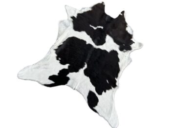 Calf2179