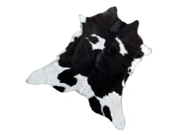 Calf2189