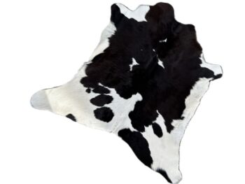 Calf2199