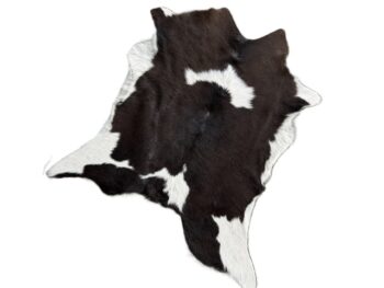 Calf221