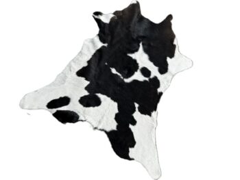 Calf222