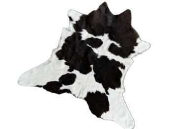 Calf223