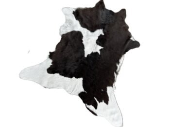Calf224