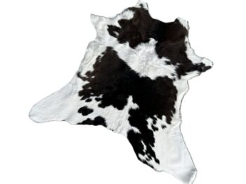 Calf226