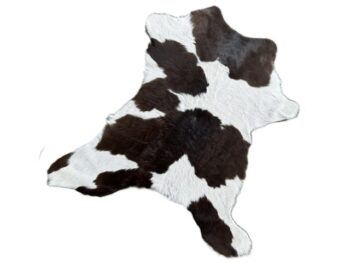 Calf229