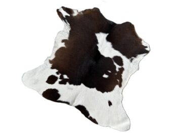 Calf234