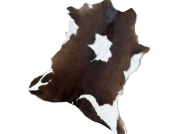 Calf236