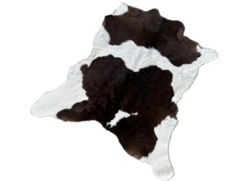 Calf237