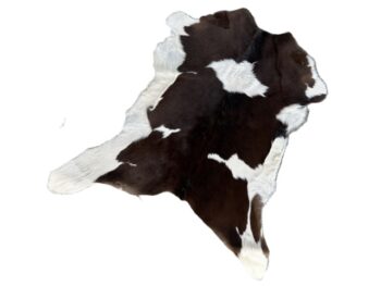 Calf2389