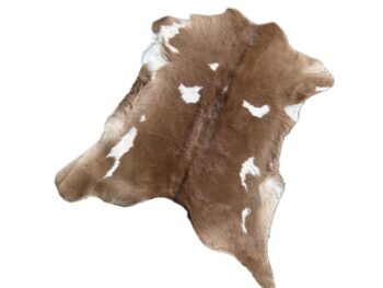 Calf240