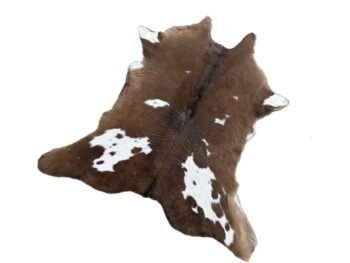 Calf241