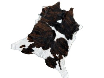 Calf243