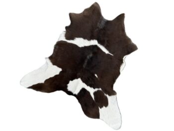 Calf247