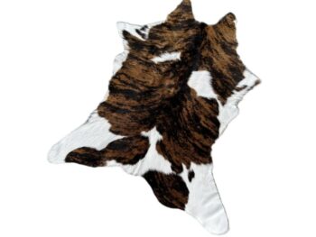 Calf248