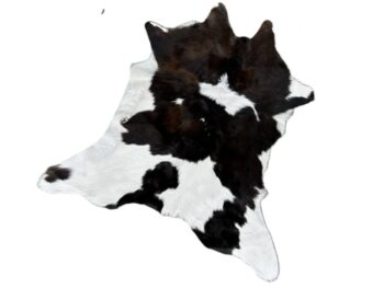 Calf251