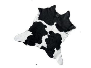 Calf202