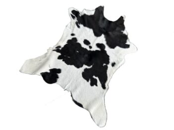 Calf203