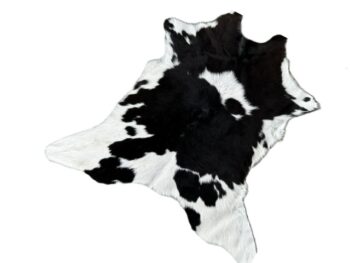 Calf204