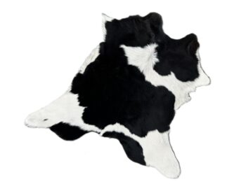 Calf208