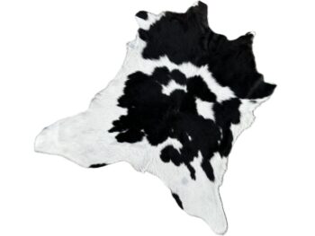 Calf209