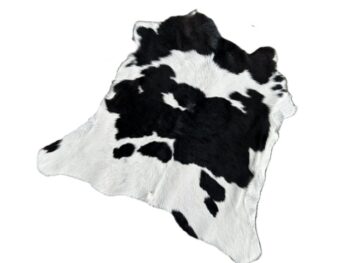 Calf211