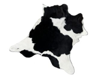 Calf213
