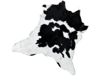 Calf214
